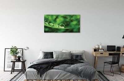 Fototryck canvas Vattendroppar makro