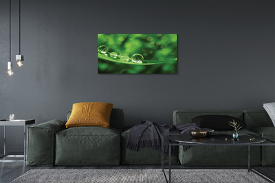 Fototryck canvas Vattendroppar makro