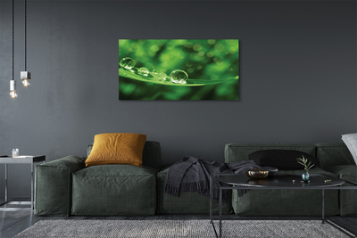 Fototryck canvas Vattendroppar makro