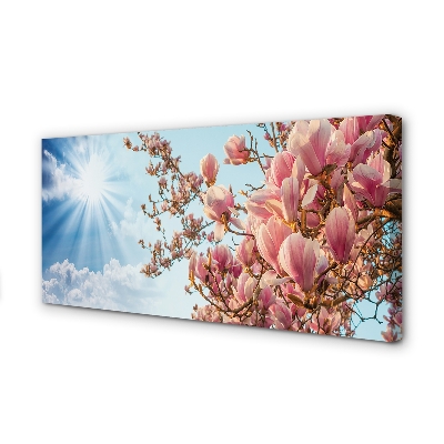 Fototryck canvas Magnolia solhimmel