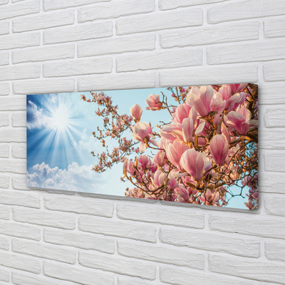 Fototryck canvas Magnolia solhimmel