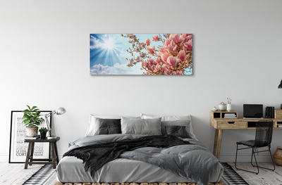 Fototryck canvas Magnolia solhimmel