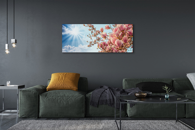 Fototryck canvas Magnolia solhimmel