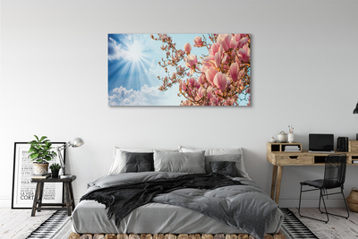 Fototryck canvas Magnolia solhimmel