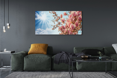 Fototryck canvas Magnolia solhimmel