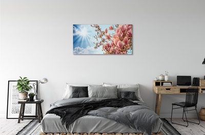 Fototryck canvas Magnolia solhimmel