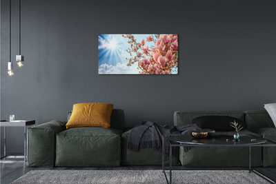 Fototryck canvas Magnolia solhimmel