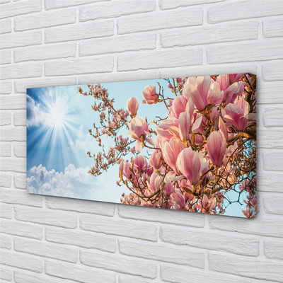 Fototryck canvas Magnolia solhimmel