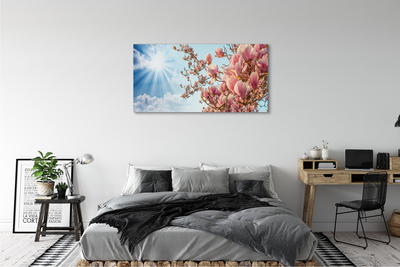 Fototryck canvas Magnolia solhimmel