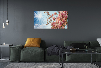 Fototryck canvas Magnolia solhimmel