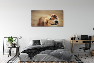 Bild på canvas Cupcake hund