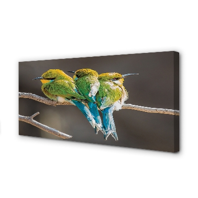 Bild canvas Fåglar på en gren