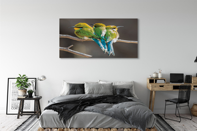 Bild canvas Fåglar på en gren