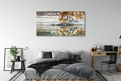 Canvas bild Den drickande tigern