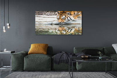 Canvas bild Den drickande tigern