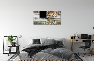 Canvas bild Den drickande tigern