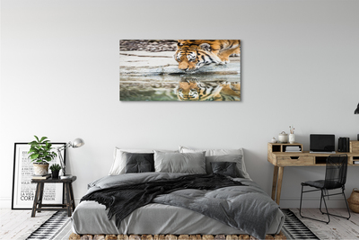 Canvas bild Den drickande tigern