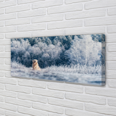 Canvas bild Vinter bergshund