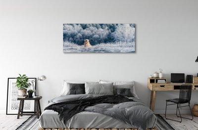 Canvas bild Vinter bergshund