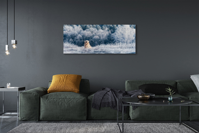 Canvas bild Vinter bergshund