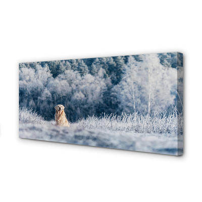 Canvas bild Vinter bergshund