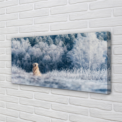 Canvas bild Vinter bergshund