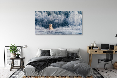 Canvas bild Vinter bergshund