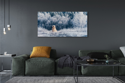 Canvas bild Vinter bergshund