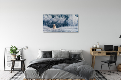 Canvas bild Vinter bergshund