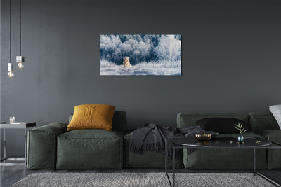 Canvas bild Vinter bergshund