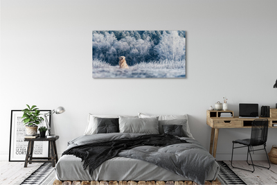 Canvas bild Vinter bergshund