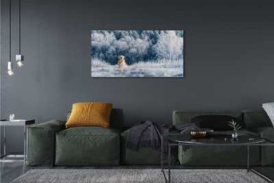 Canvas bild Vinter bergshund