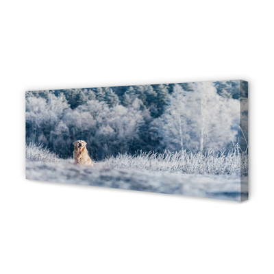 Canvas bild Vinter bergshund