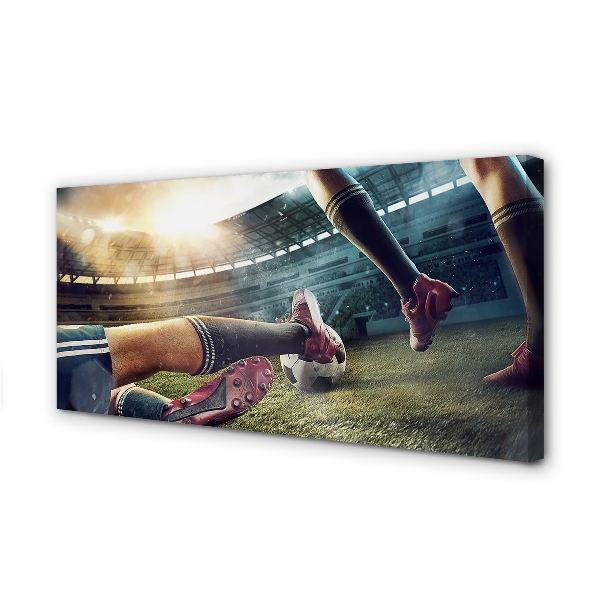 Canvas bild Stadionboll korkar