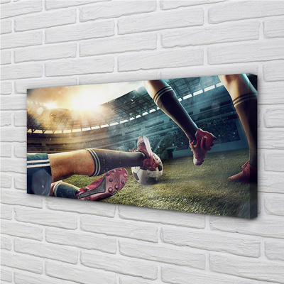 Canvas bild Stadionboll korkar