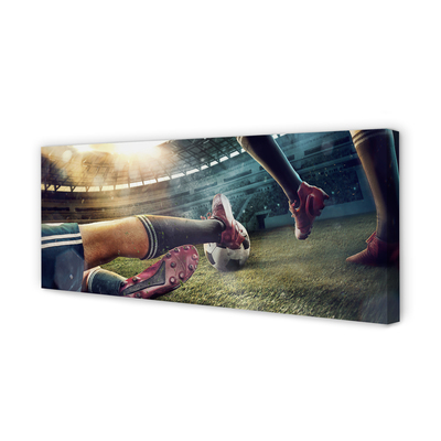 Canvas bild Stadionboll korkar