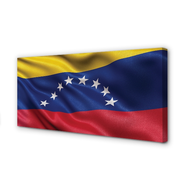 Foto på duk Venezuelas flagga