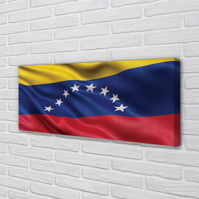 Foto på duk Venezuelas flagga