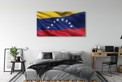 Foto på duk Venezuelas flagga