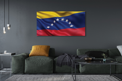 Foto på duk Venezuelas flagga