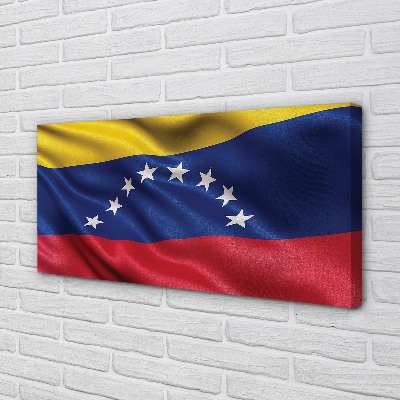 Foto på duk Venezuelas flagga