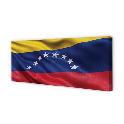 Foto på duk Venezuelas flagga