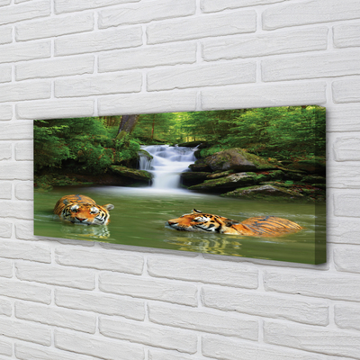 Fototryck canvas Tigers vattenfall