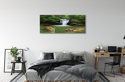 Fototryck canvas Tigers vattenfall