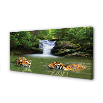 Fototryck canvas Tigers vattenfall