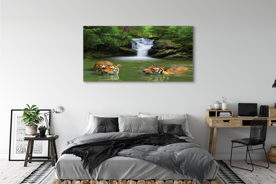 Fototryck canvas Tigers vattenfall