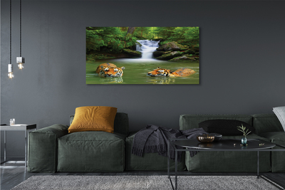 Fototryck canvas Tigers vattenfall