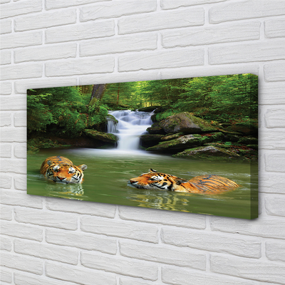 Fototryck canvas Tigers vattenfall