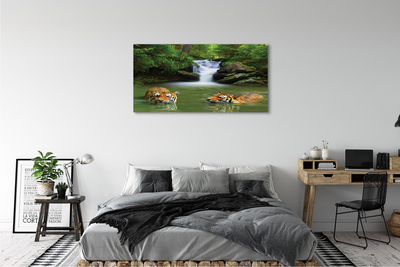 Fototryck canvas Tigers vattenfall