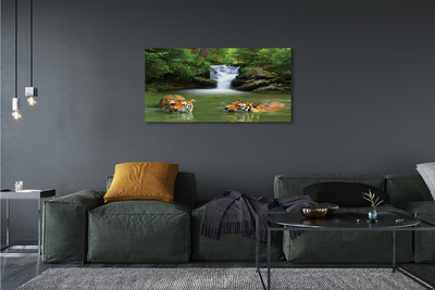 Fototryck canvas Tigers vattenfall